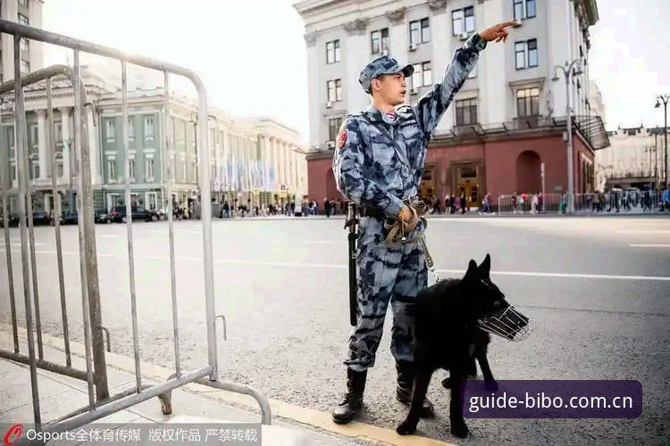 世界杯安保策略大变革，必博体育官网用户如何看英国警员仅三人赴美？